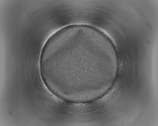 X0000110870943200907021433