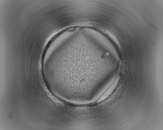 X0000110870944200907021433