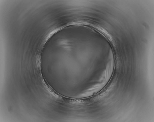 X0000110870945200907021433