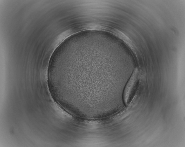 X0000110870946200907021433