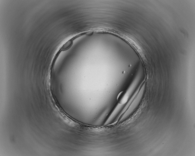 X0000110870948200907021433