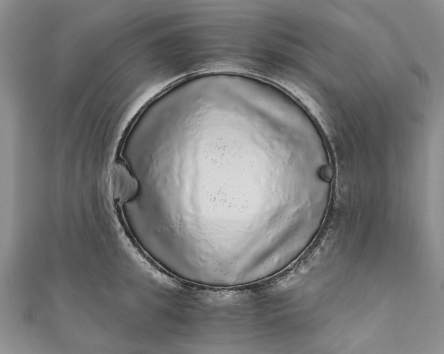 X0000110870949200907021433