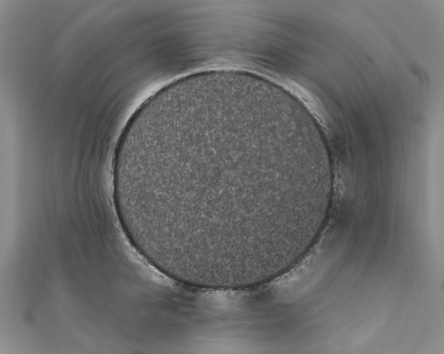 X0000110870950200907021433