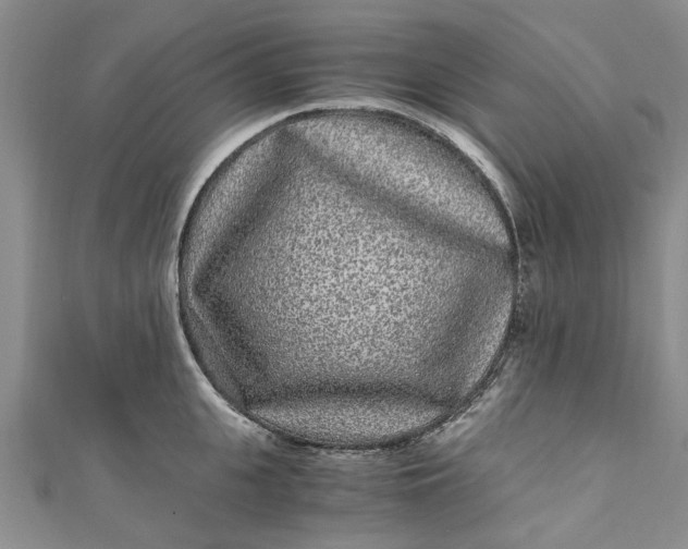 X0000110870951200907021433