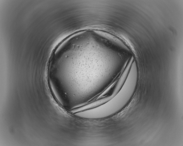 X0000110870952200907021433