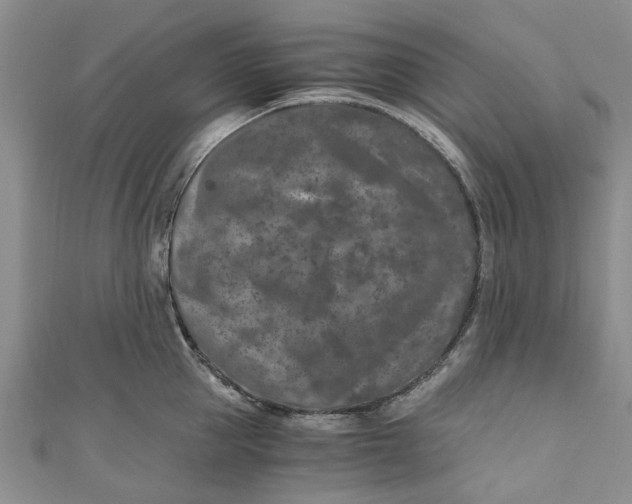 X0000110870953200907021433