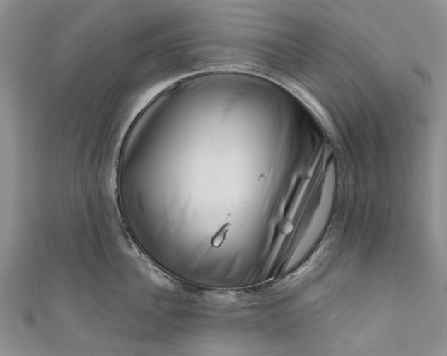 X0000110870956200907021434