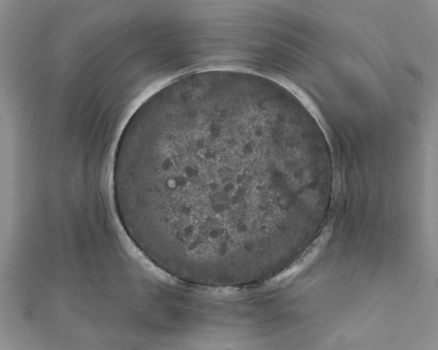 X0000110870957200907021434