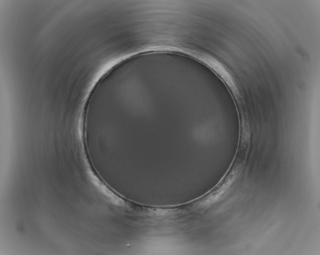 X0000110870958200907021434