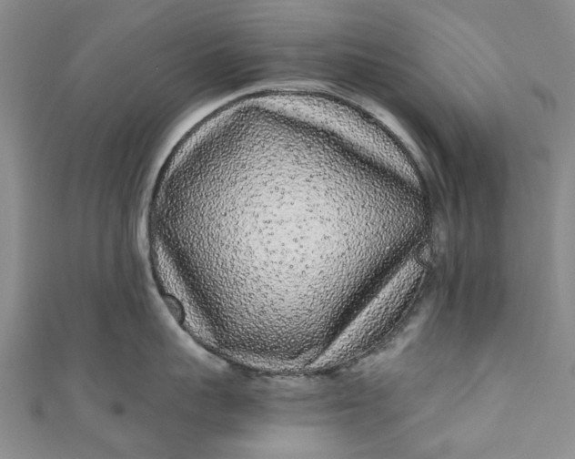 X0000110870959200907021434