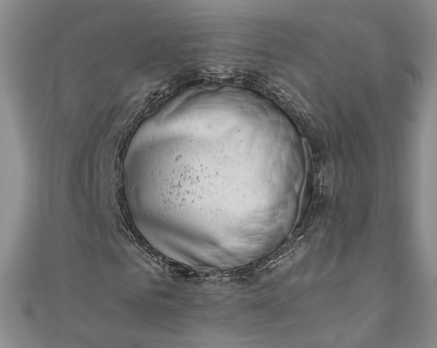 X0000110870961200907021433