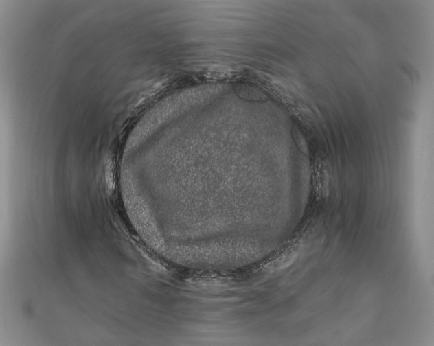 X0000110870962200907021433