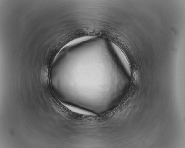 X0000110870963200907021433