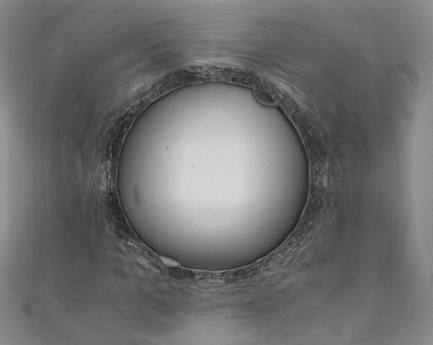 X0000110870965200907021433