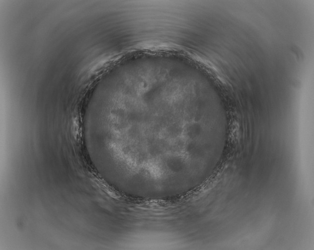 X0000110870966200907021433