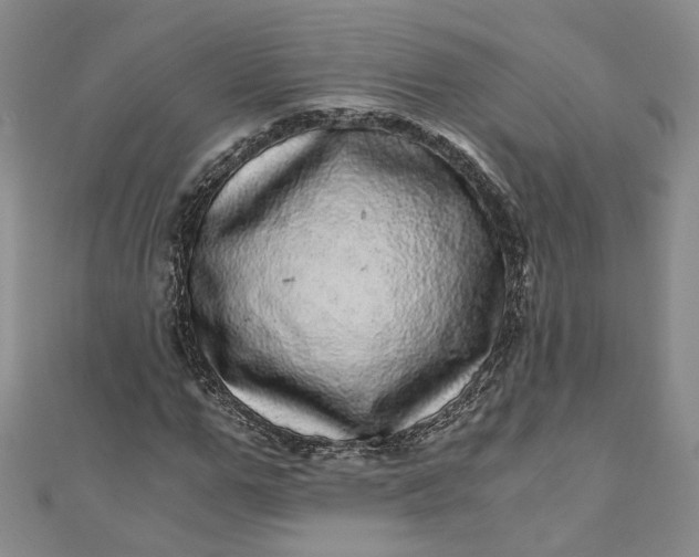 X0000110870967200907021433