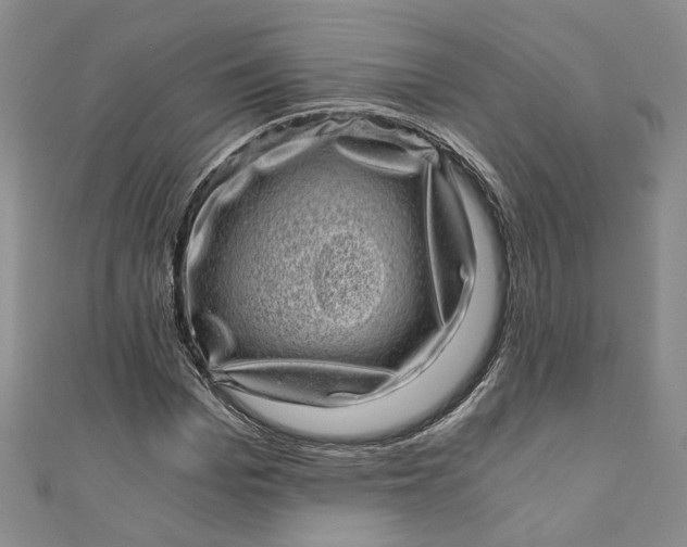 X0000110870969200907021433