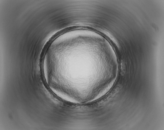 X0000110870972200907021433