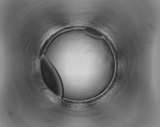 X0000110870973200907021433