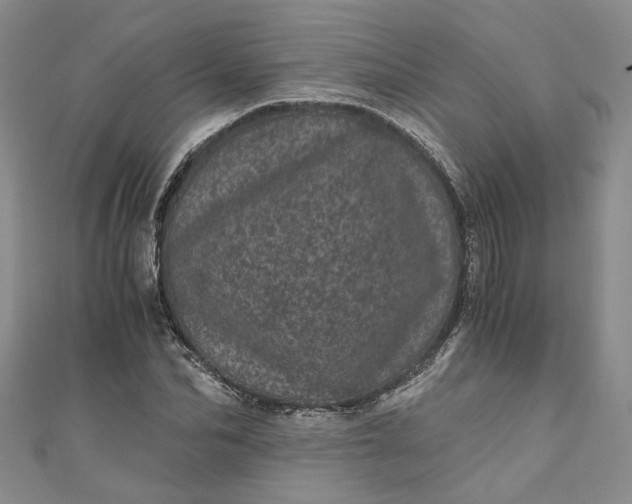 X0000110870974200907021433