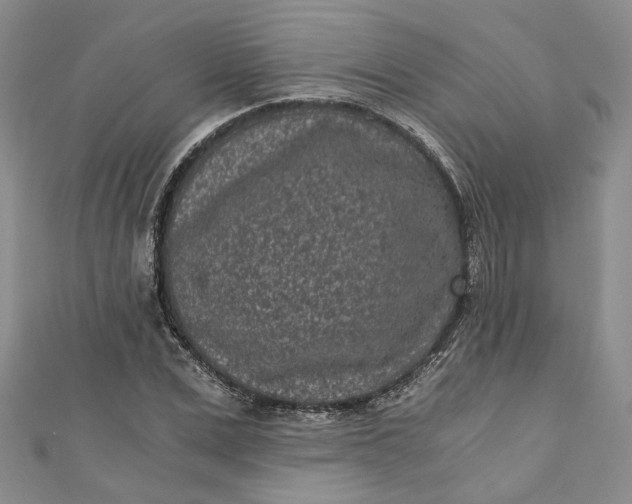 X0000110870975200907021433