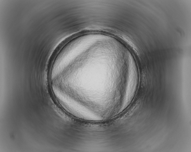 X0000110870976200907021433