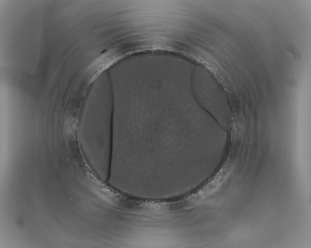 X0000110870977200907021433