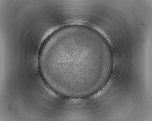 X0000110870978200907021433