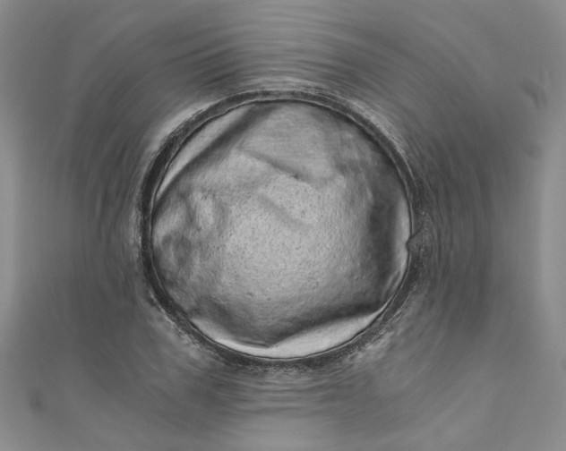 X0000110870979200907021433