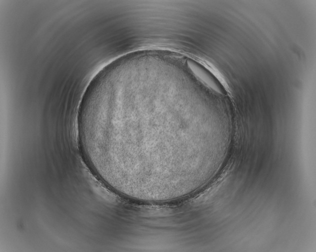 X0000110870980200907021433