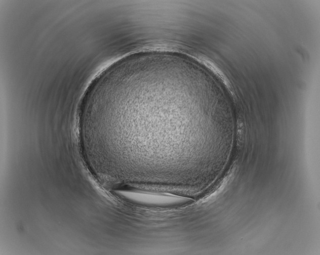 X0000110870981200907021433