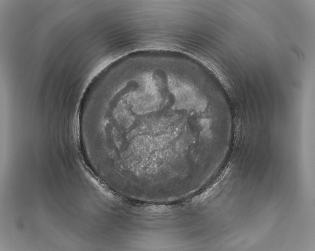 X0000110870982200907021433