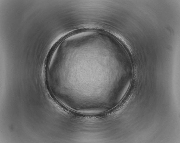 X0000110870983200907021433