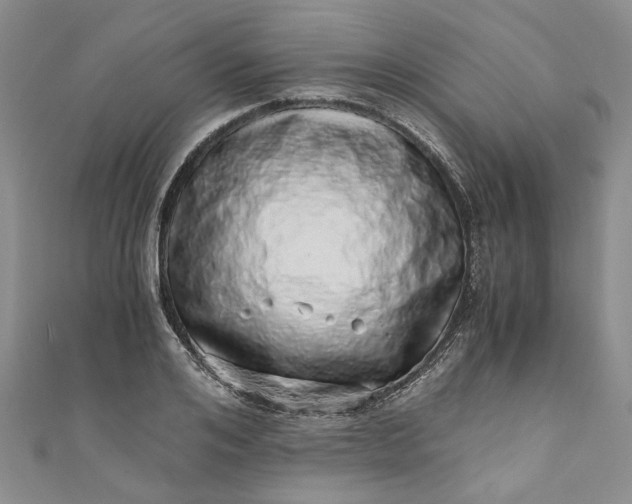 X0000110870984200907021433