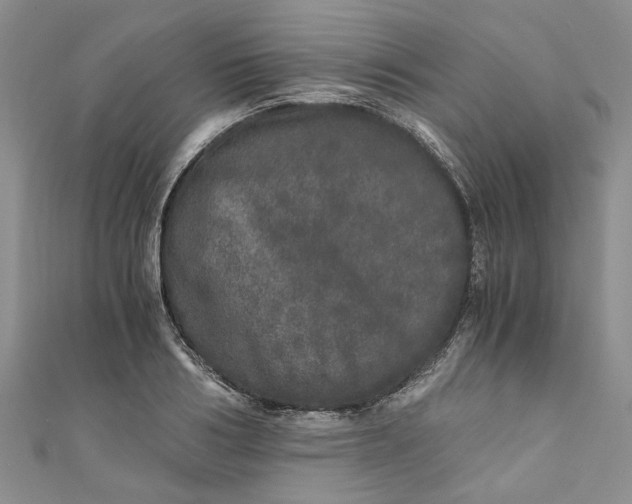 X0000110870986200907021433