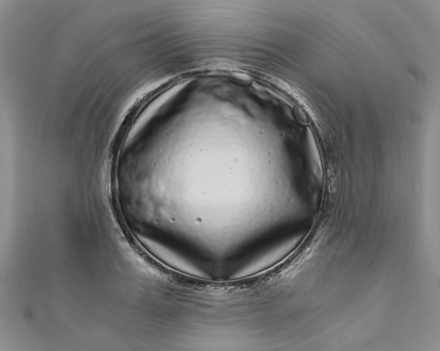 X0000110870987200907021433