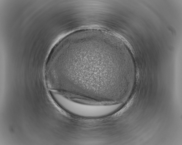 X0000110870989200907021433