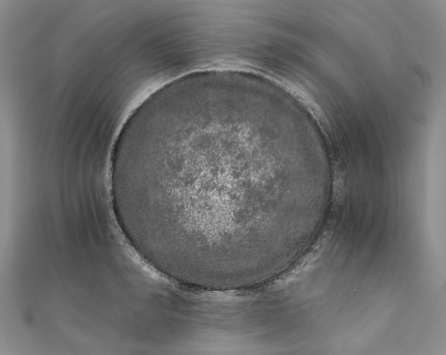 X0000110870990200907021433