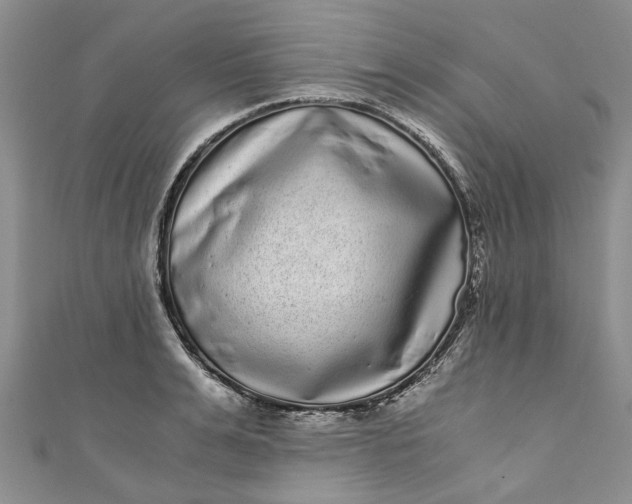 X0000110870991200907021433