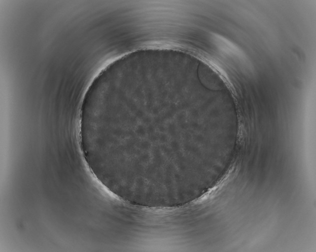 X0000110870992200907021433