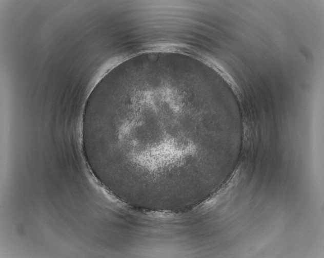 X0000110870994200907021433