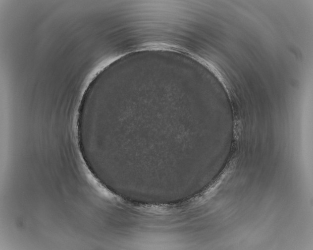 X0000110870995200907021433