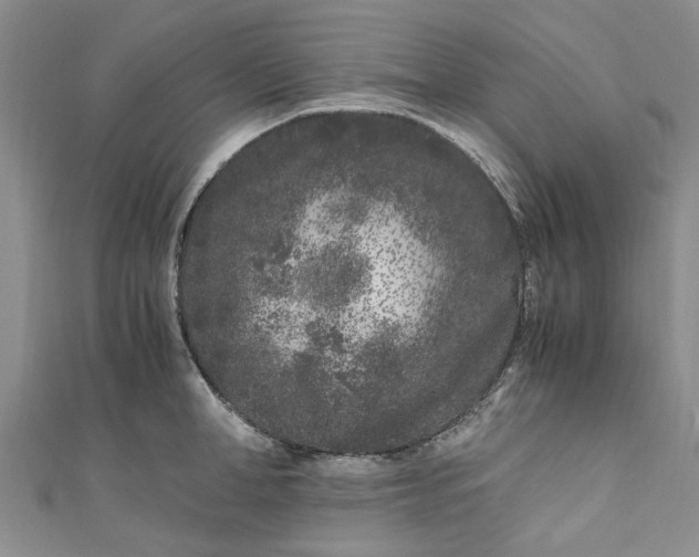 X0000110870998200907021432