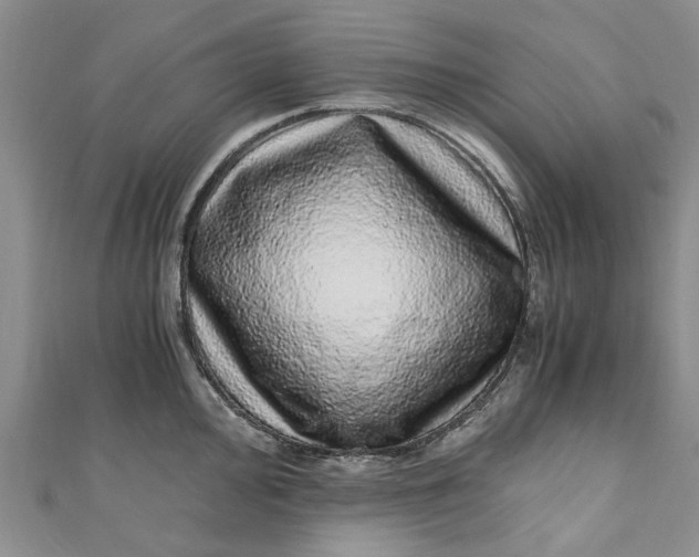 X0000110871000200907021432