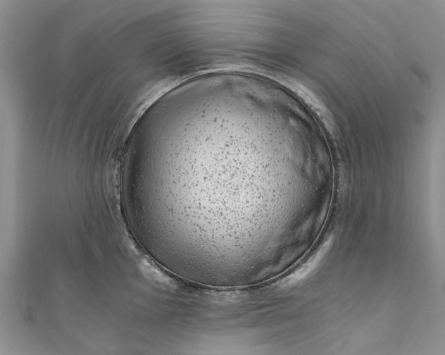 X0000110871001200907021432