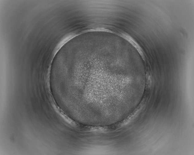 X0000110871002200907021432