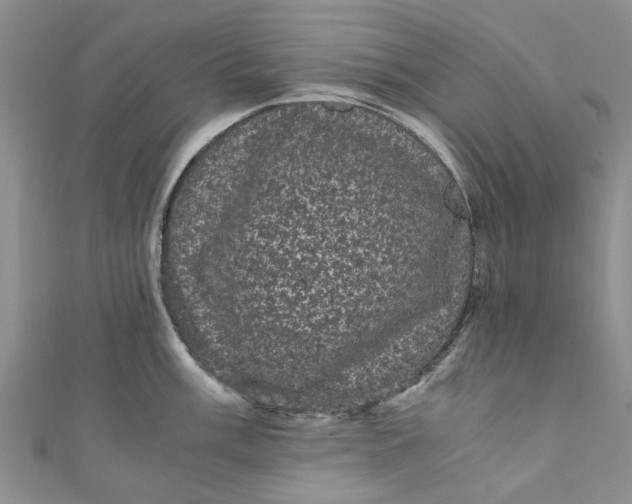 X0000110871003200907021432