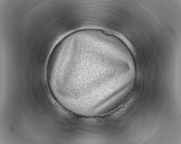 X0000110871004200907021432