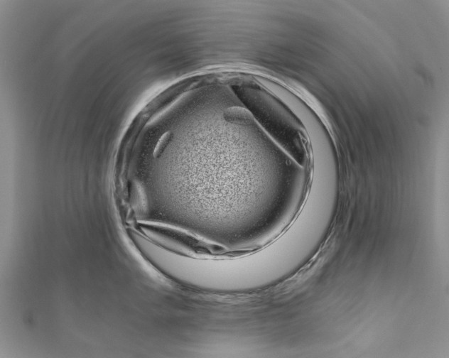 X0000110871005200907021432