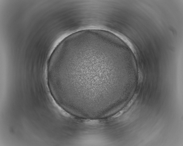 X0000110871006200907021432